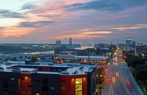 Savannah  at Dawn Stock Photos