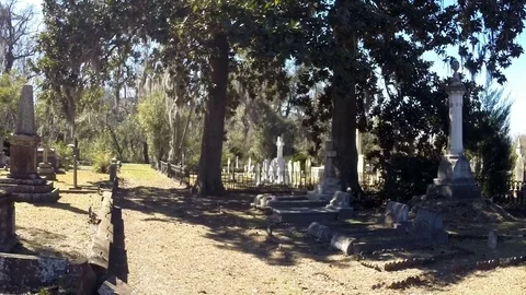 Savannah Georgia cemetery path Stock Footage 72907310