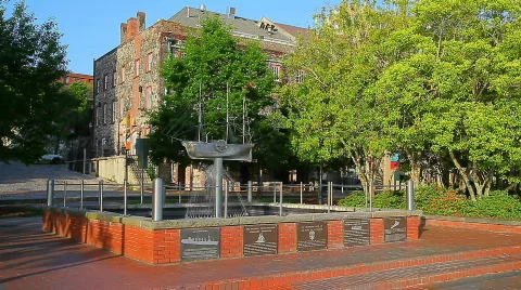 Savannah Georgia Video stock 641591