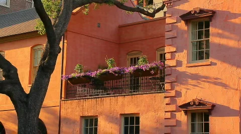 Savannah Georgia Video stock 641706
