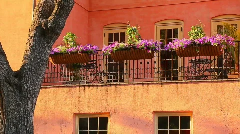 Savannah Georgia Video stock 641717