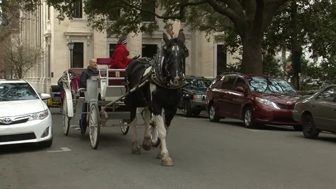 Savannah, Georgia. Stock Footage 111341318