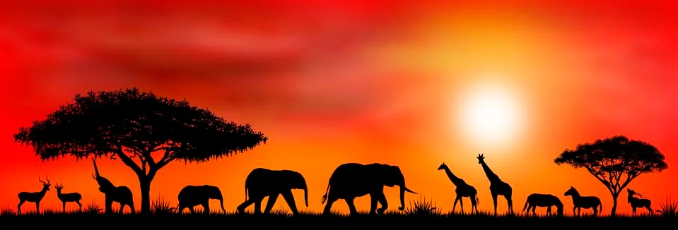Savannah Stock Illustration