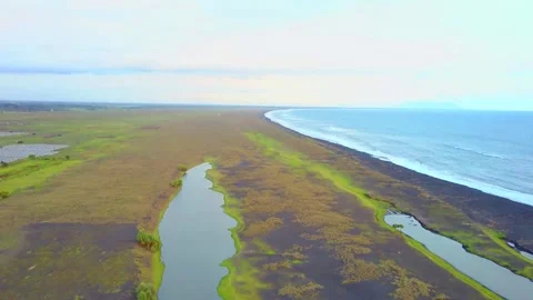 Savannah Pandanwangi, Lumajang. East Java. Indonesia. Stock Footage 231324121