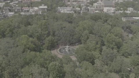 Savannah Park Stock Footage 318381882
