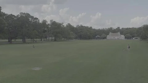 Savannah park Stock Footage 318381988