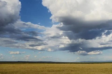 Savannah Fotos de archivo