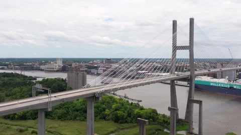 Savannah River 32 Stock Footage 276956336