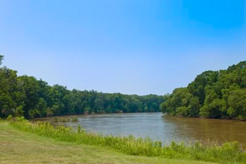 Savannah river 스톡 사진