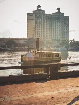 Savannah River 스톡 사진