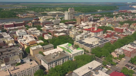 Savannah Skyline 库存影片 155316517