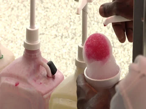 Savannah Snow Cone Stock Footage 26443151