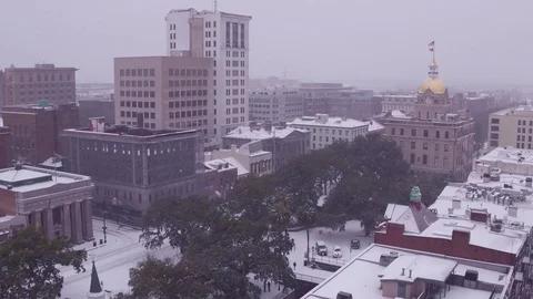 Savannah Snow Day 库存影片 84043180