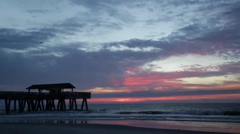 Savannah Sunrise Vídeo Stock 50443874