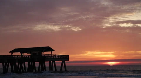 Savannah Sunrise Vídeo Stock 50444328