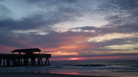 Savannah Sunrise Vídeo Stock 50444802