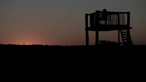 Savannah Sunset, Man with Hat Sitting on Wooden Platform Stock Footage 235666993