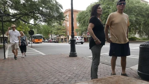 Savannah Timelapse Stock Footage 118534463