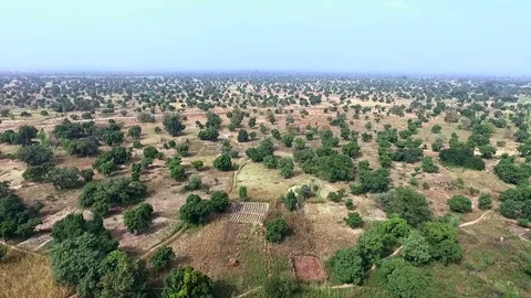 From savannah trees to the lake Stock Footage 80795104