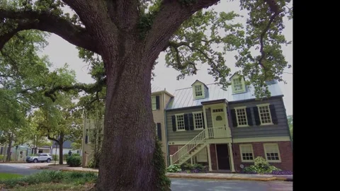 Savannah two homes Vídeo Stock 242103651