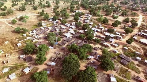 Savannah village Stock Footage 80806080