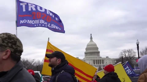 Save America March Stock Footage 146202950