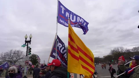 Save America March Stock Footage 146202951
