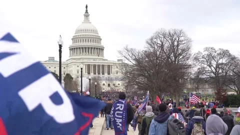 Save America March Stock Footage 146202952