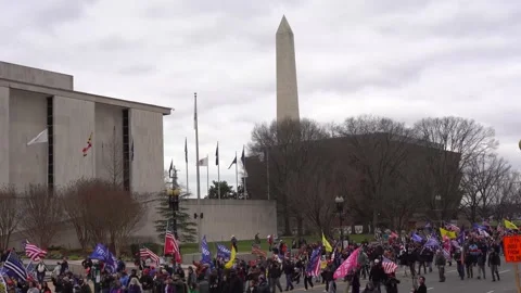 Save America March Stock Footage 146202975