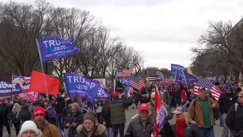 Save America March Stock Footage 146202981