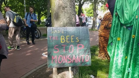 Save the Bees Stop Monsanto sign leans on tree, cape with flowers, demonstration Видео 76057331