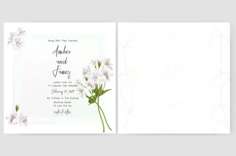 Save the date card, wedding invitation, greeting card with beautiful Stock Illustration