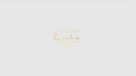 Save the Date Elegant Calligraphy Ink Write-On with a quill trail and 4K Alpha Stock Footage 346357399