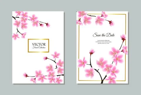 Save the date - floral sakura tree wedding invitation set. Stockillustratie