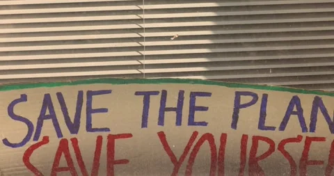 Save Earth Poster. Climate Strike. Demonstration Stock Footage 285320851