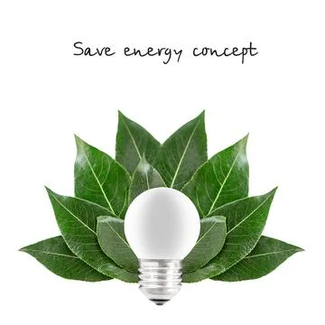 Save ecology concept from energy saving light bulb with leaves in the background Foto stock