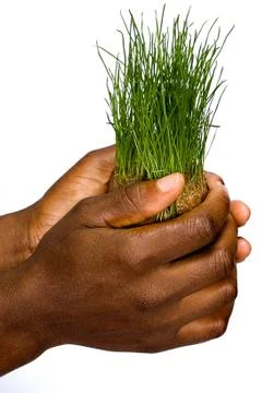 Save the environment Stock Photos