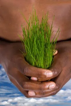 Save the environment Stock Photos