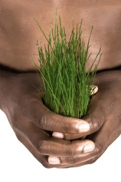 Save the environment Stock Photos