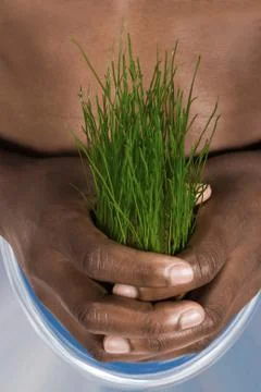 Save the environment Stock Photos