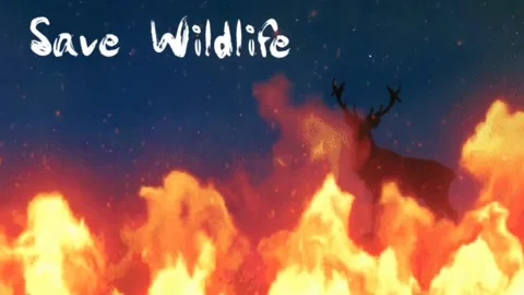 Save Forest &amp; Wildlife concept Old Vintage look Background. 스톡 동영상 142525164