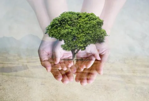 Save green environment Stock Photos