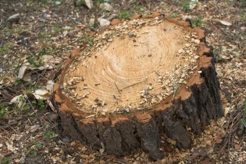 Save the green Stock Photos