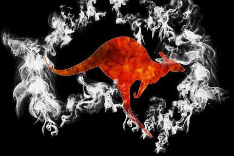 Save kangaroos Australia Fires Stock Illustration