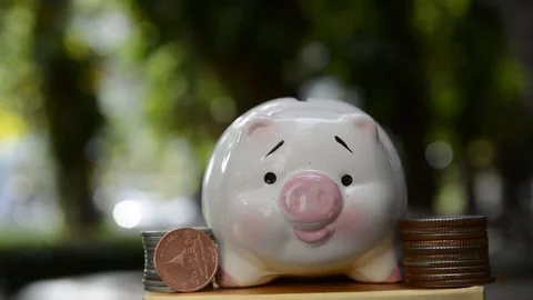 Save money, piggy save money concept Stock Footage 71487053