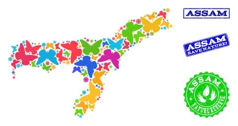 Save Nature Collage of Map of Assam State with Butterflies and Grunge Stamps Illustrazione stock