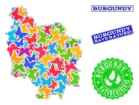 Save Nature Composition of Map of Burgundy Province with Butterflies and イラスト素材