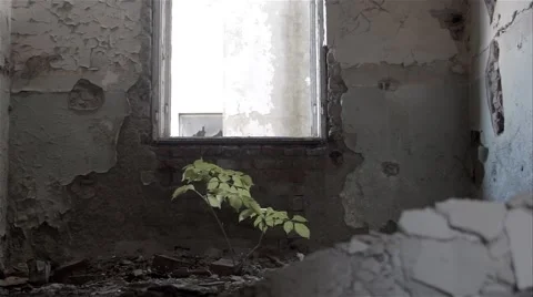 Save The Nature Concept Stock Footage 44914332