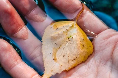 Save the nature concept 写真素材