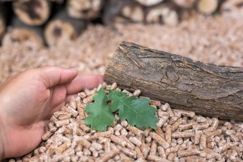 Save the nature Stock Photos